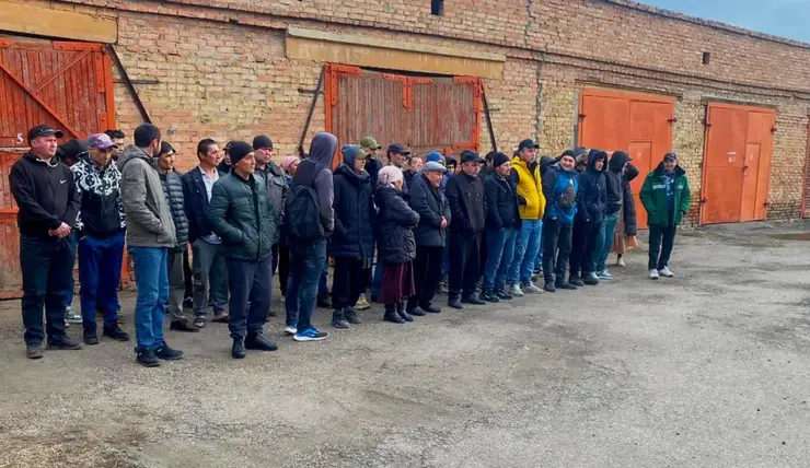 Под Красноярском на птицефабрике поймали 20 нарушителей миграционного законодательства