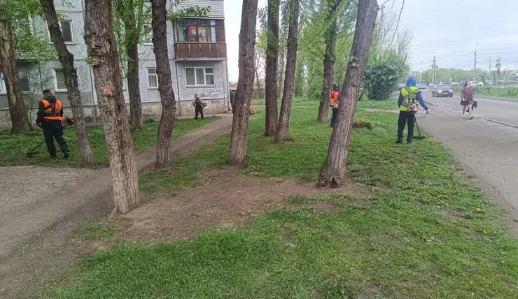 В Красноярске массово косят траву на газонах