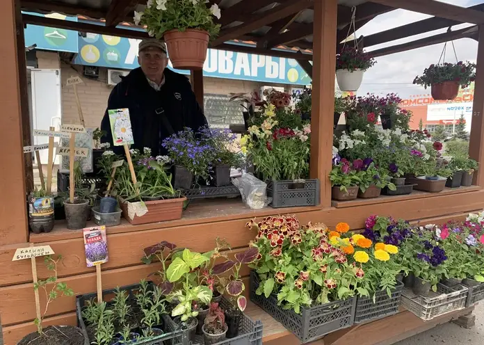 В Советском районе Красноярска садоводы могут бесплатно реализовать свою продукцию