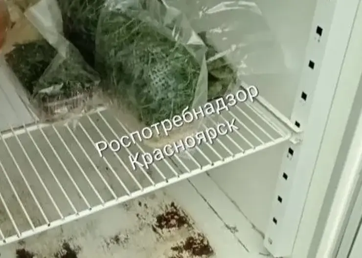 Красноярская служба доставки еды заплатит штраф за нарушения санитарных требований