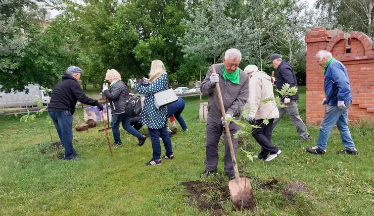 В Красноярском крае вновь высадят деревья в память о погибших в Великой Отечественной войне