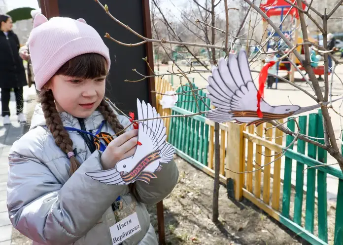 В школах и детсадах Красноярска созданы площадки в память о героях Великой Отечественной войны