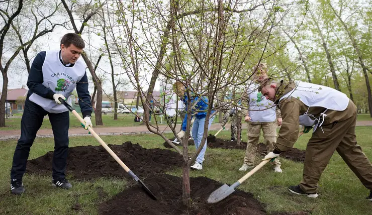 Красноярцы высадили деревья в память о погибших в годы Великой Отечественной войны