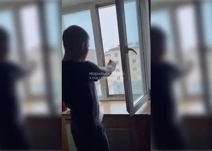 На севере Красноярского края двое приятелей устроили стрельбу из окна жилого дома