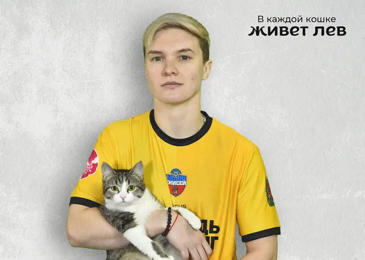 Женский футбольный клуб «Енисей» принял участие в благотворительной фотосессии с кошками