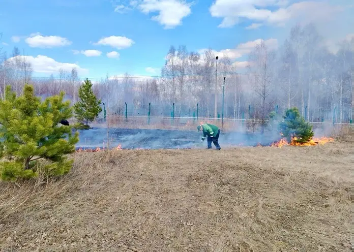В Красноярске на острове Татышев произошёл пожар