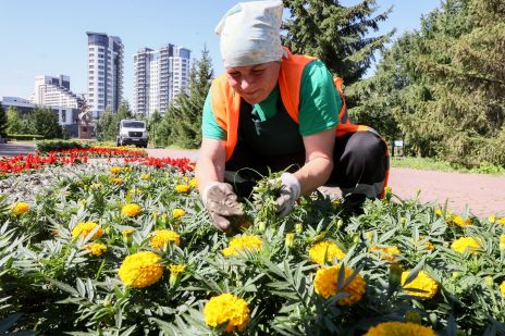 Цветочная душа: рассказываем о работе красноярских озеленителей