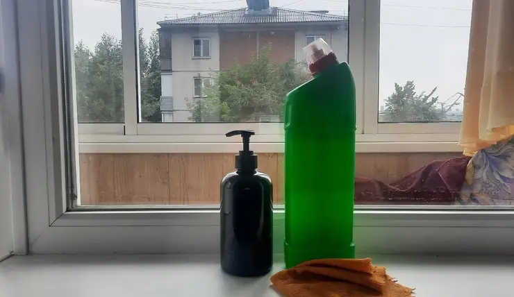Красноярцам рассказали, как правильно мыть окна без вреда для здоровья