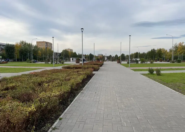 В Красноярске растения с площади Революции пересадили в другие скверы