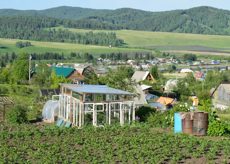 В Красноярском крае многодетные семьи смогут выбирать между получением земельного участка и денежной компенсацией