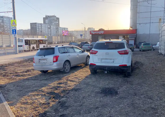 В Красноярске за два месяца любителей парковаться на газоне оштрафовали на 3,9 млн рублей