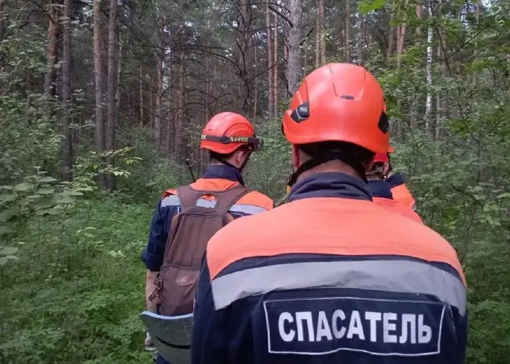 В Красноярском крае спасатели ищут заблудившуюся в лесу 82-летнюю пенсионерку