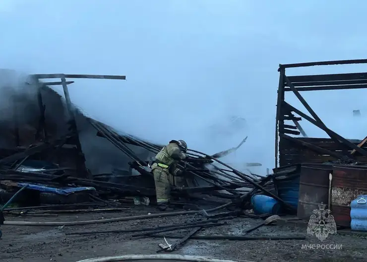 В Красноярском крае во время ночного пожара на ферме сгорели 70 свиней