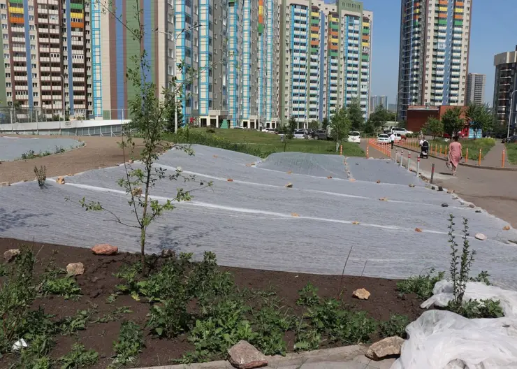 В Красноярске приводят в порядок сквер «Яблоневый сад» в микрорайоне Покровском