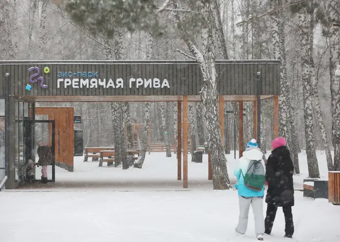 Красноярцев приглашают в поход от Гремячей гривы до Серебряного лога