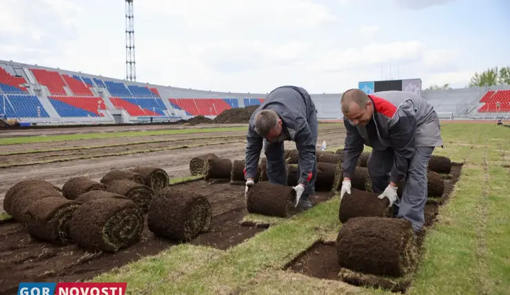 В Красноярске до конца июля уложат новое футбольное поле на Центральном стадионе