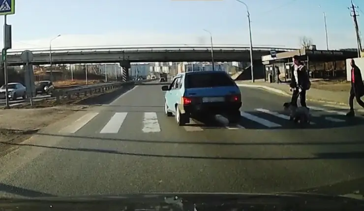 В Красноярске водитель ВАЗ-2109 чуть не сбил людей на пешеходном переходе