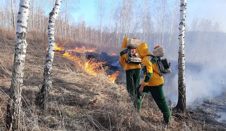 Жителей Красноярского края 5 мая будут оповещать о пожароопасной обстановке