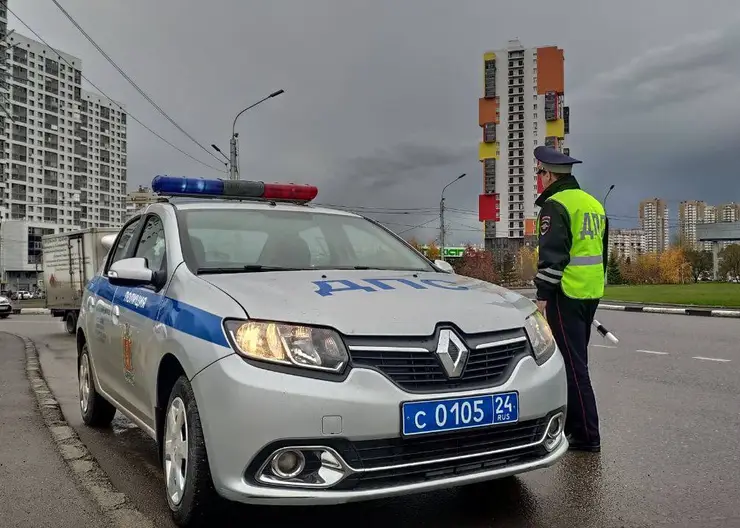 В Красноярске полицейские рассказали о самом безопасном месте для детей в  машине