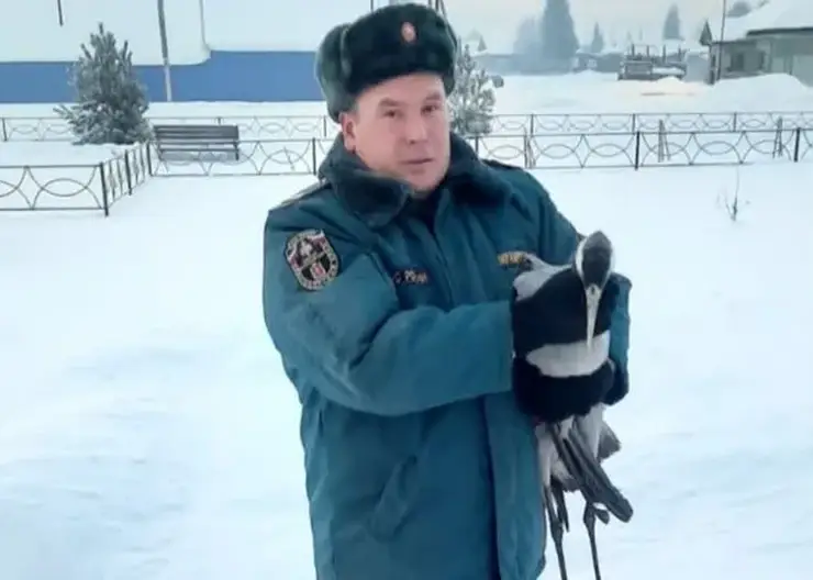 В Красноярском крае сотрудник МЧС спас замерзающего журавля