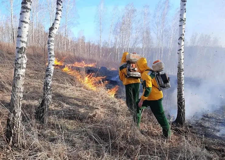 Жителей Красноярского края 5 мая будут оповещать о пожароопасной обстановке