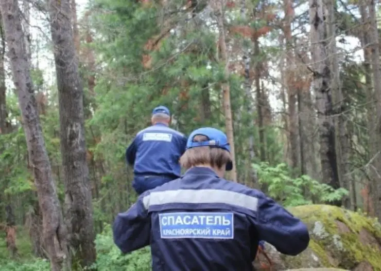 Под Красноярском в лесу заблудилась 40-летняя женщина