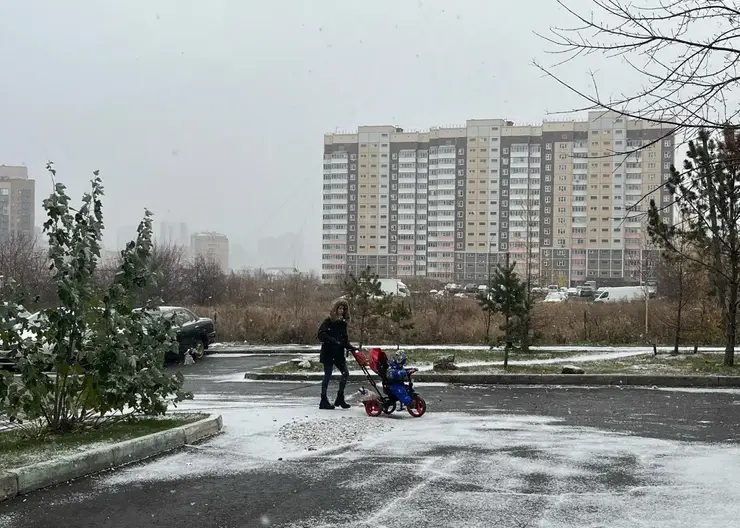 В Красноярске утром 24 октября выпал первый снег