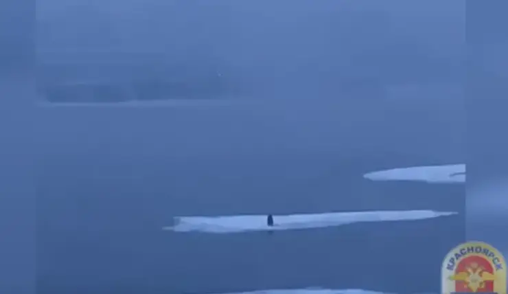 Унесенный на льдине рыбак из Красноярска предположительно упал в воду