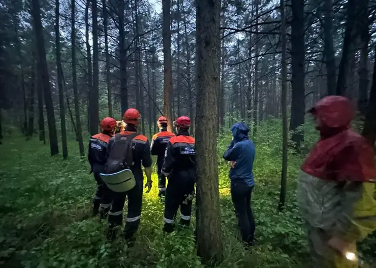 В Красноярском крае спасли заблудившегося лесного пожарного