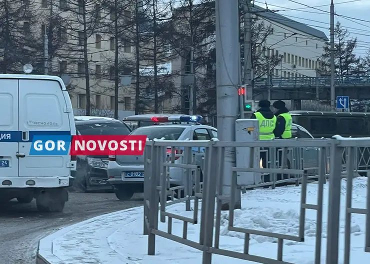В Красноярске на улице Партизана Железняка водитель наехал на столб и скончался