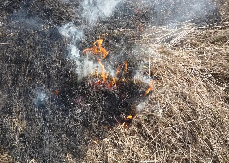 На окраине Канска загорелась трава