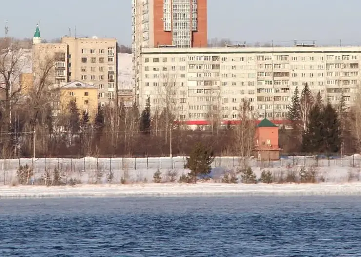 В Красноярске проверили 100-летние тополя на острове Посадном