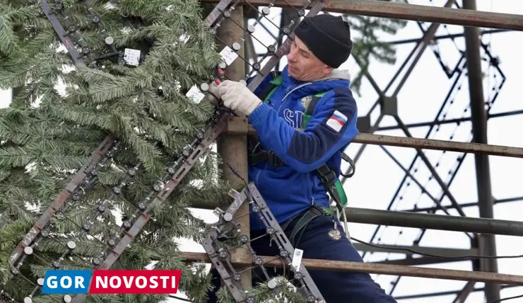 В Красноярске на острове Татышев начали разбирать главную елку города