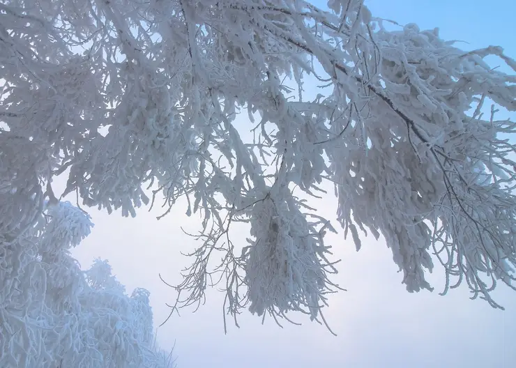 В Красноярске 13 января похолодает до -20