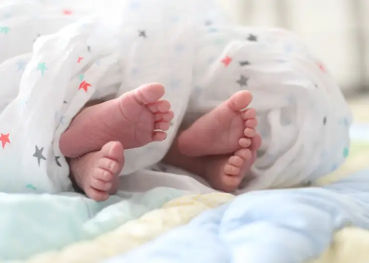 В Красноярском крае назвали самые популярные имена новорожденных в 2023 году