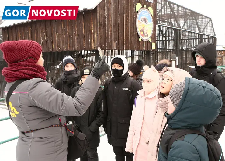 Роспотребнадзор предупредил жителей Красноярского края о незаконных детских лагерях