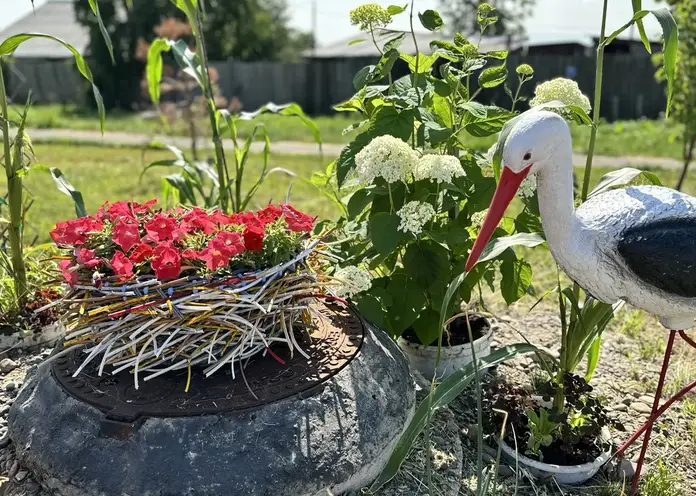 В Советском районе Красноярска на конкурс «Самый благоустроенный район» поступило 3 300 заявок