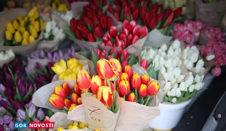 В Красноярске к 8 Марта массово продают тюльпаны