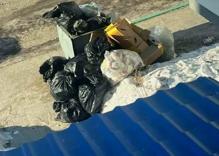 Красноярской доставке суши объявили предостережение из-за мусора под окнами жилого дома