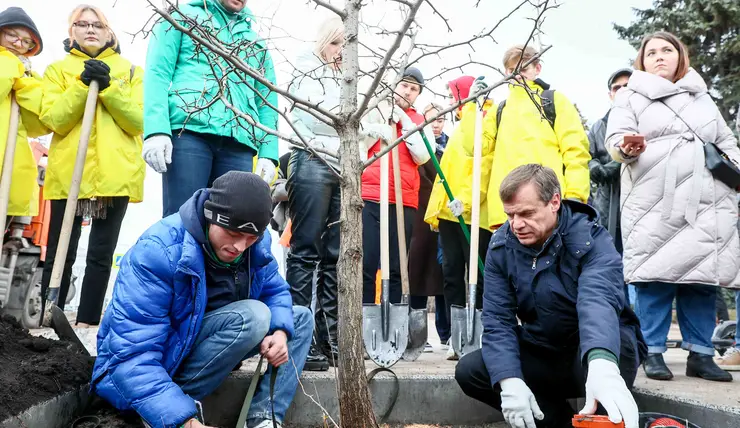 В Центральном парке Красноярска высадили абрикосы и груши