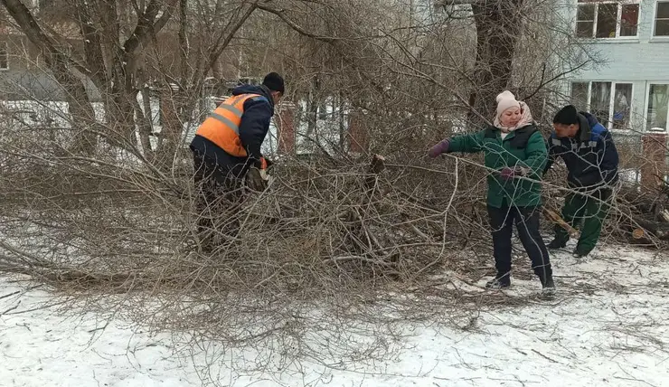 В Железнодорожном районе Красноярска обрезали деревья на 20 улицах