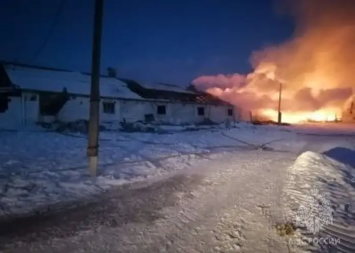 В Канском районе при пожаре в телятнике погибли 88 животных