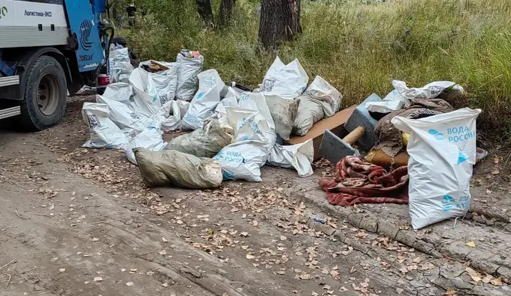 Левобережный оператор помог волонтёрам навести порядок на острове Молокова