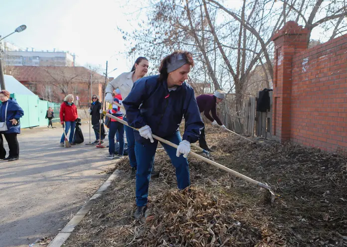 В Красноярске 6 мая пройдет общегородской субботник