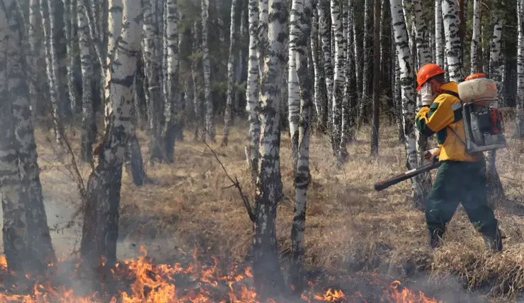 В Красноярском крае за пожарной обстановкой в лесах следят с помощью видеокамер