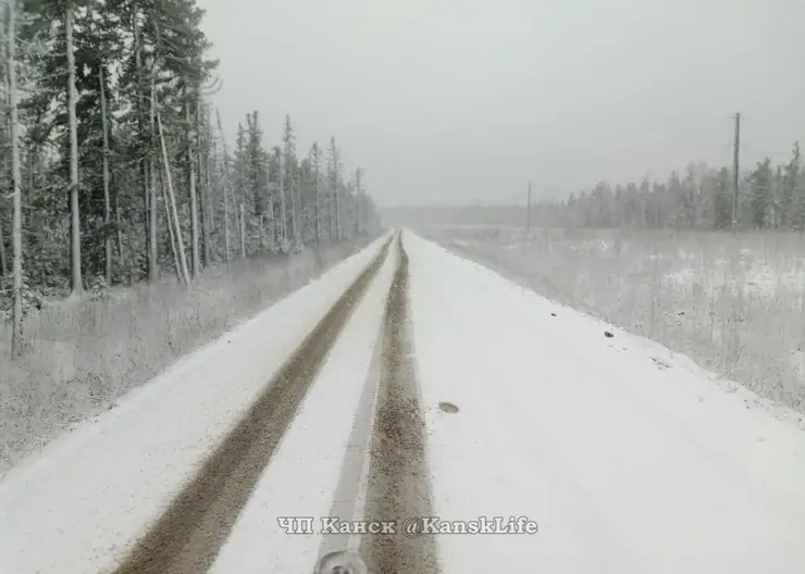 В Красноярском крае выпал первый снег