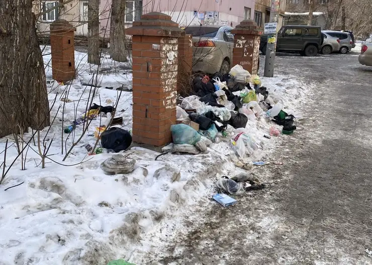 В Октябрьском районе Красноярска с начала года убрали более 90 незаконных свалок