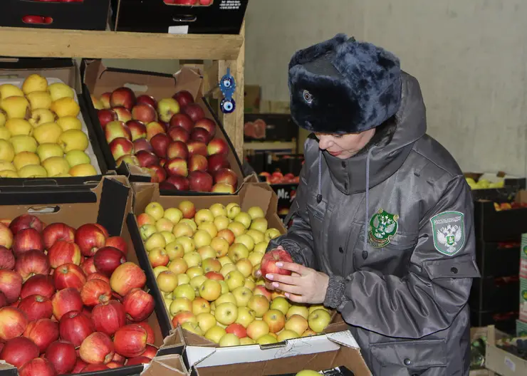 В 2023 году в Красноярский край завезли более 22 тысяч тонн фруктов и овощей из зарубежных стран