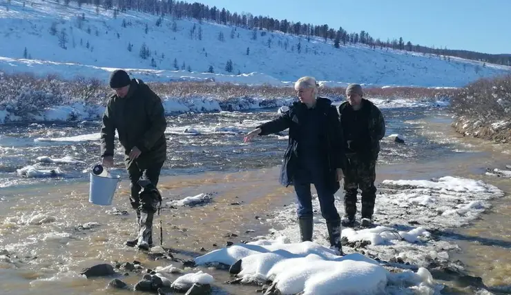 В Красноярском крае золотодобывающей организации «Сисим» запретили работать в Манском и Саянском районах