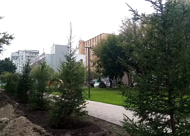 В Красноярске озеленяют новый сквер на Ладо Кецховели